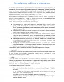 Recopilación y análisis de la información.