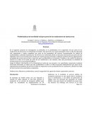 Problemáticas de movilidad vial por parte de los conductores de motocarros