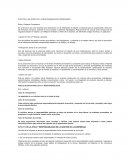 Areas de responsabilidad empresarial