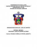 ORIGENES MEXICANOS DEL JUICIO DE AMPARO.