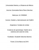 Evidencia de aprendizaje. Diseño de la cobertura del canal de venta