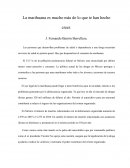 La marihuana es mucho más de lo que te han hecho creer..