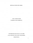 BIENESTAR Y RECREACIÓN LABORAL.