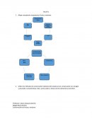 Mapa conceptual componentes frutas y verduras
