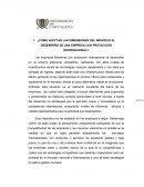 DIMENSIONES DEL INDIVIDUO EL DESEMPEÑO DE UNA EMPRESA CON PROYECCIÓN INTERNACIONAL