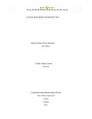 COSTOS POR ORDEN DE PRODUCCIÓN.