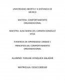 Evidencia de Aprendizaje Unidad 1.