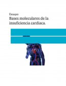 Ensayo bases de la insuficiencia cardiaca.