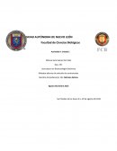 Países que utilizan los MASC