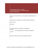 LECTURA TÉCNICA Y ANALISIS DEL "MONUMENTO AL MAR"