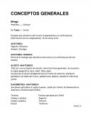 Generalidades Anatomia.
