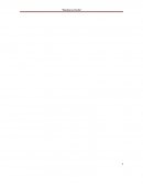 Honduras verde. Planificación de proyectos