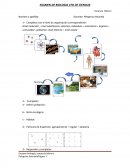 EXAMEN DE BIOLOGIA 4TO DE CIENCIAS.
