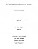 TRABAJO DE INVESTIGACIÓN “LUDOTECA MUNICIAPAL DE TOCAIMA”.