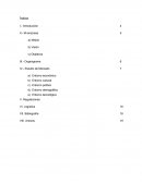 El presente proyecto se refiere al tema de exportación de ajo fresco, en el cual México es considerado uno de los principales países productores