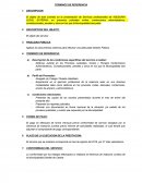 Informe topografico- TERMINOS DE REFERENCIA
