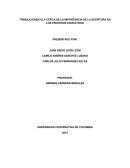 ESCRITO IMPORTANCIA DE LAS ESRITURA EN LOS PROCESOS EDUCATIVOS