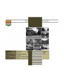 PROPÓSITOS GENERALES EDUCACIÓN PRIMARIA