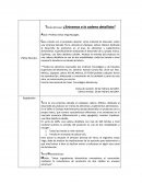 Caso: entramos a la cadena detallista.