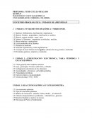 CONTENIDO PROGRAMATICO : UNIDADES DE APRENDIZAJE