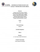 Act. Integradora T.S.B Etapa 1