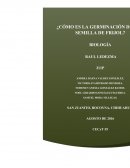 El presente trabajo es realizado con el objetivo de conocer el comportamiento de una semilla de frijol en la transformación del grano
