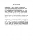 TEMA- LA PULGA GOMELA