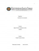 Ensayo importancia de la recreación en Colombia