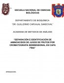 Separación e identificación de aminoácidos de jugos de frutos por cromatografía bidimensional en capa fina