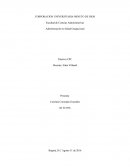 Teniendo en cuenta los recursos suministrados y la Guía Técnica Colombiana (GTC) 45, elabore un diccionario definiendo