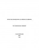 Estructura organizacional de empresas colombianas