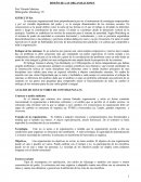 DISEÑO DE LAS ORGANIZACIONES.