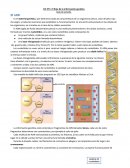 EJE N°1: El flujo de la información genética