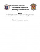 Creatividad, desarrollo de nuevos productos y mercados