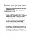 ¿Qué tipo de hombre se quiere formar?