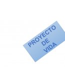 ESTRUCTURACIÓN DEL PLAN DE ACCIÓN