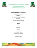 LAS PARADOJAS DE ZENÓN.