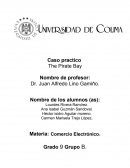 Caso practico The Pirate Bay