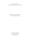 Rendimiento de los Equipos