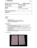 Tema- Emociones Positivas.