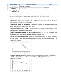 Trabajo: Conociendo y aplicando el concepto de elasticidad. Página 1