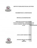 Protocolo de investigacion PyMes.