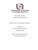Ejemplo de Reporte FInal de laboratorio de Química Organica.