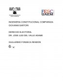 INGENIERIA CONSTITUCIONAL COMPARADA.