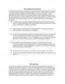 Descripción de la práctica
