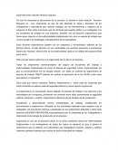 Tema- Informe ergonomia