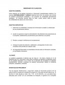 MEMORANDO DE PLANEACION.
