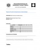 Reporte Parcial de Experiencia de Aprendizaje
