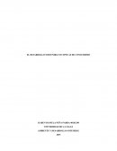 El desarrollo sostenible en épocas de consumismo