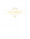 Tema- Plan de marketing Cama Tiende Fácil.